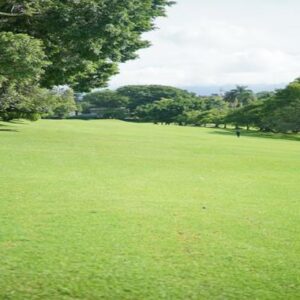 El campo 5