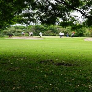 El campo 6