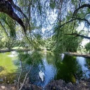 El campo 10