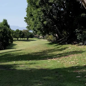 El campo 2.4