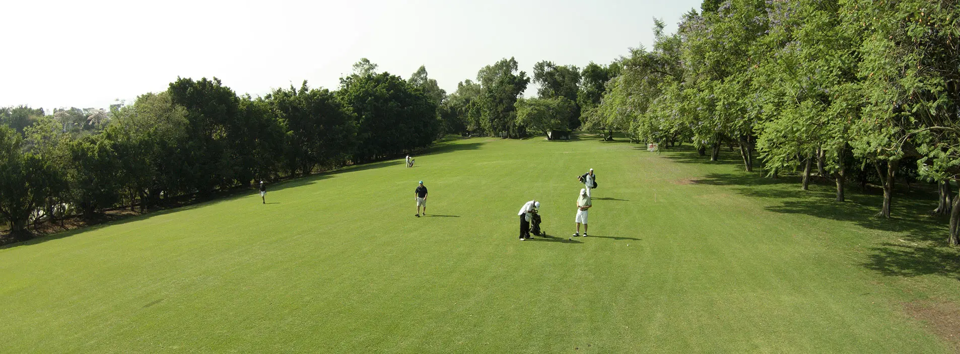 Orgaiza tu torneo banner