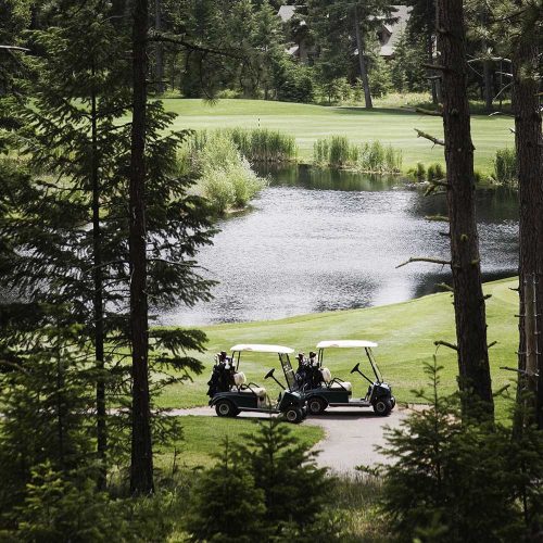 Two golf carts parked on a golf course yfvfgdu.jpg